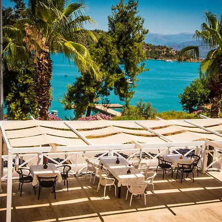 Levent Fethiye